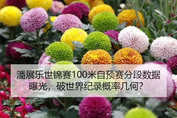 潘展乐世锦赛100米自预赛分段数据曝光，破世界纪录概率几何？
