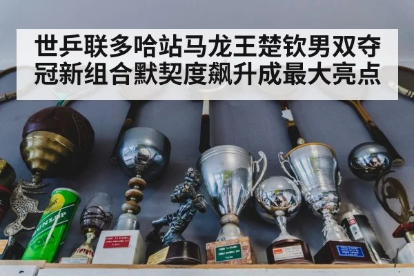 世乒联多哈站马龙王楚钦男双夺冠新组合默契度飙升成最大亮点